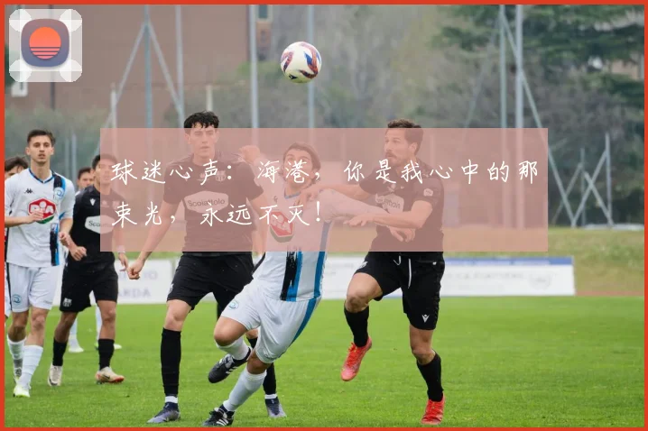 球迷心声：海港，你是我心中的那束光，永远不灭！