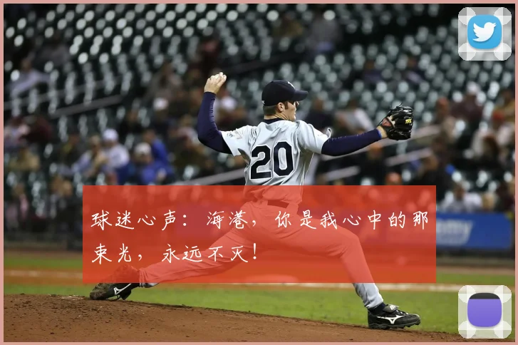 球迷心声:海港,你是我心中的那束光,永远不灭!